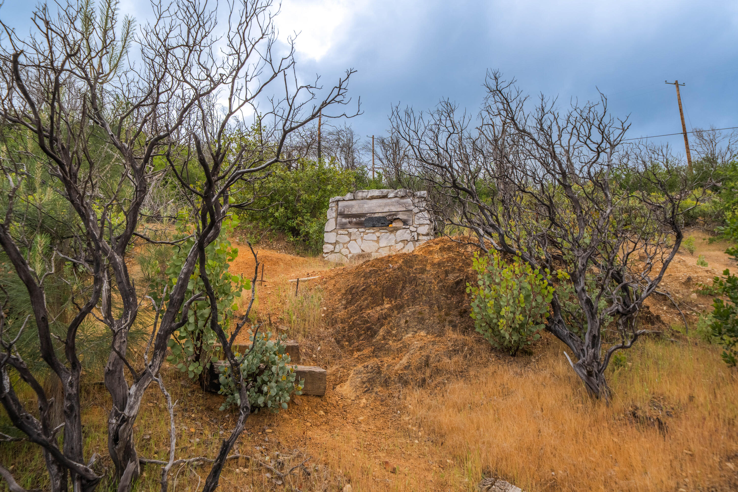 0 High Street Shasta, CA 96087 - Photo 2 of 14 a backyard of a house with lots of green space