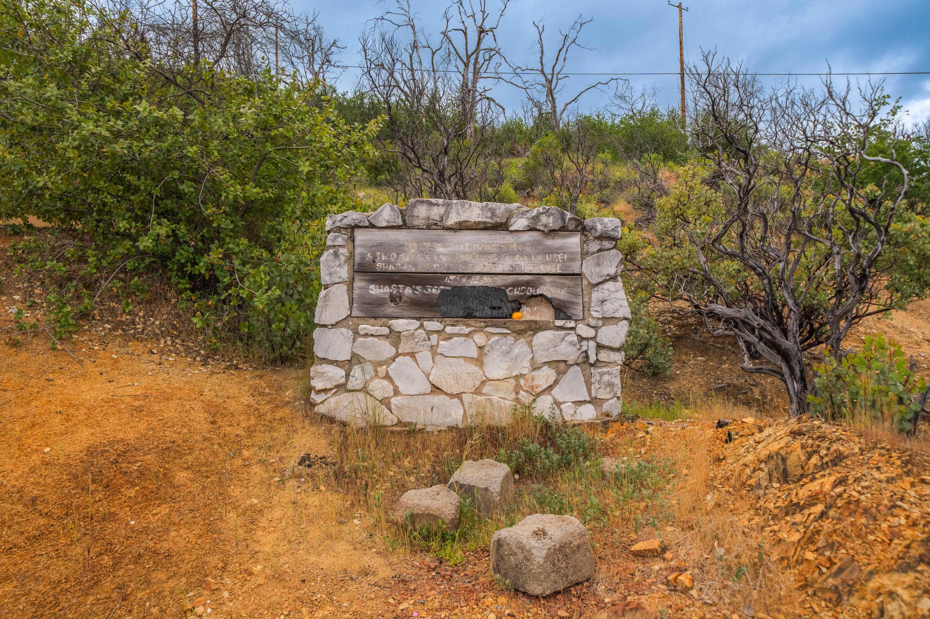 0 High Street Shasta, CA 96087 - Photo 6 of 14 a view of a yard with plants and tree