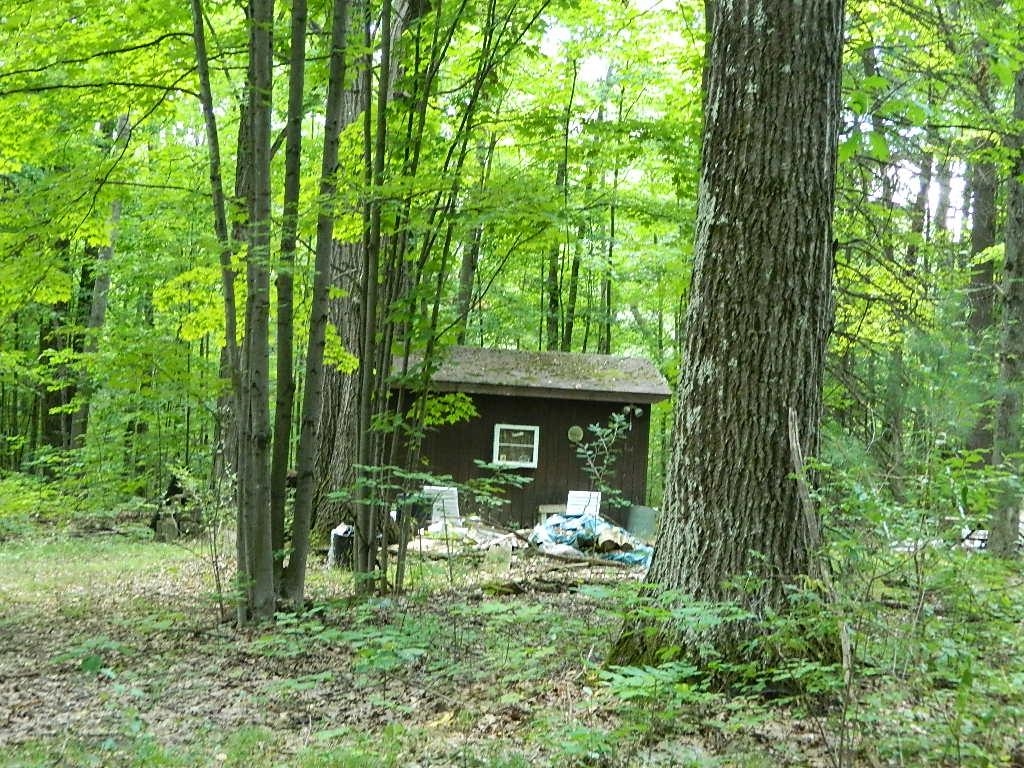 3285 Maple Grv Road Farwell, MI 48622 - Photo 1 of 12 1904615.JPG