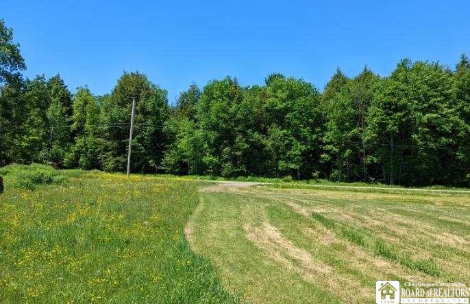 13557 Hoffman Road Springville, NY 14141 - Photo 1 of 1