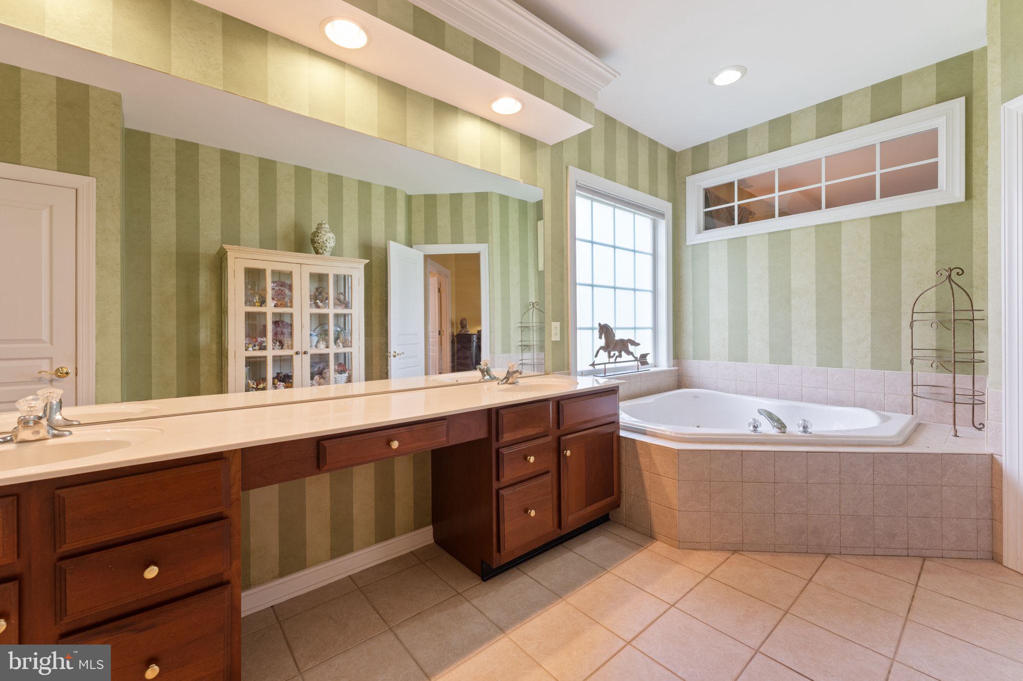 26 Ridings Way West Chester, PA 19382 - Photo 17 of 31 Large Soaking Tub