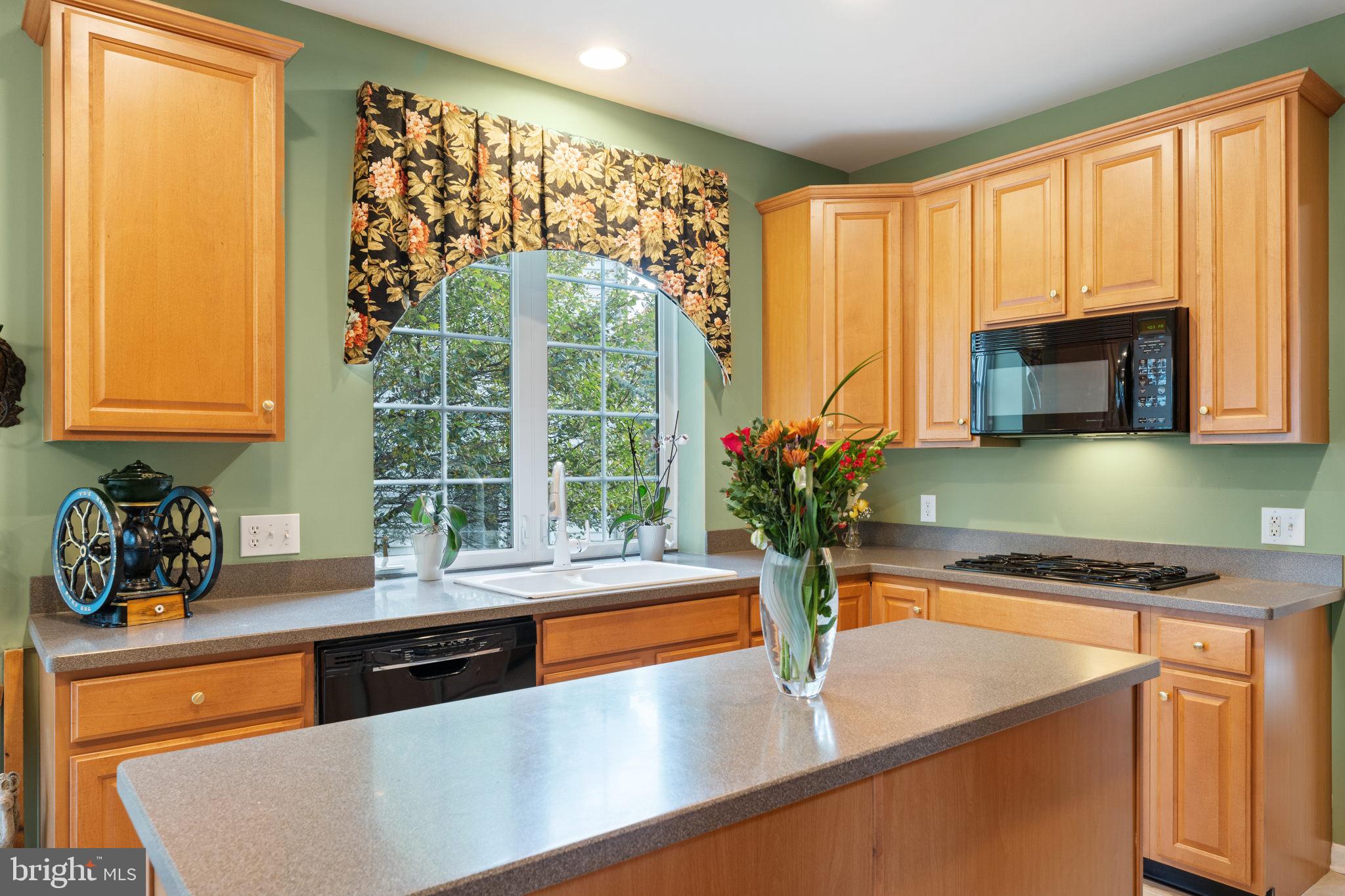 26 Ridings Way West Chester, PA 19382 - Photo 10 of 31 Island
