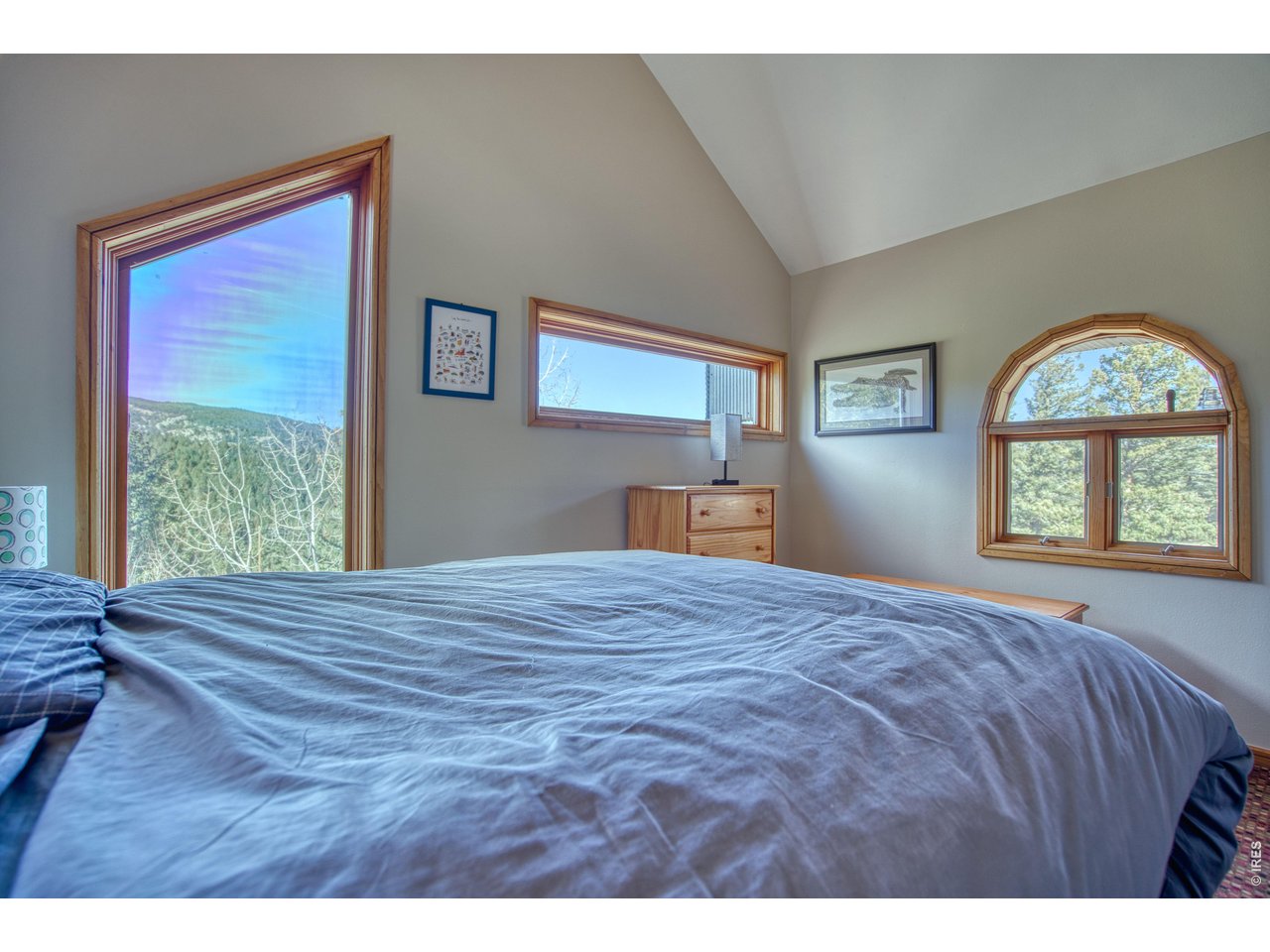 226 Juniper Heights Road Golden, CO 80403 - Photo 20 of 40