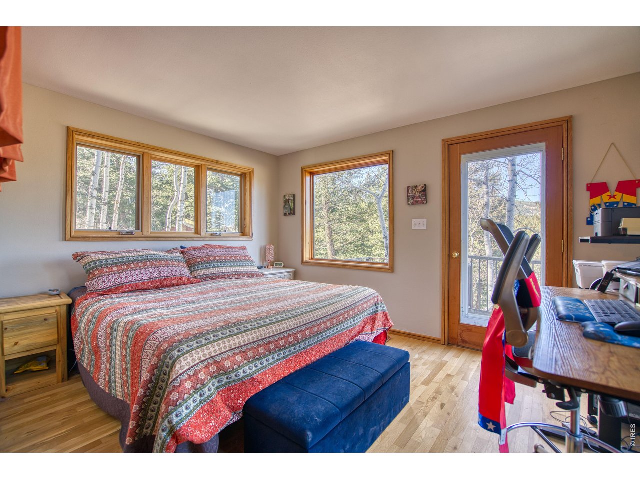 226 Juniper Heights Road Golden, CO 80403 - Photo 23 of 40 Basement Bedroom