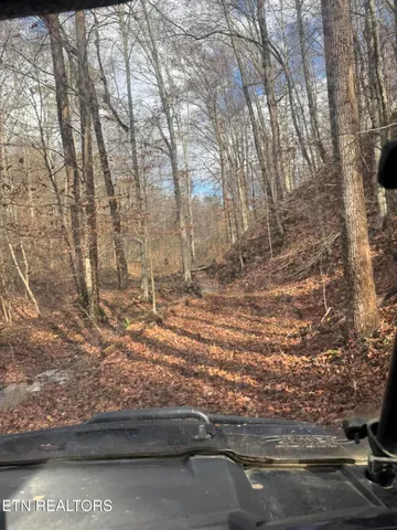 $80,000 | Mt Olive Rd Road, Andersonville, TN 37705