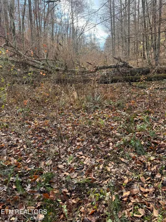 $80,000 | Mt Olive Rd Road, Andersonville, TN 37705