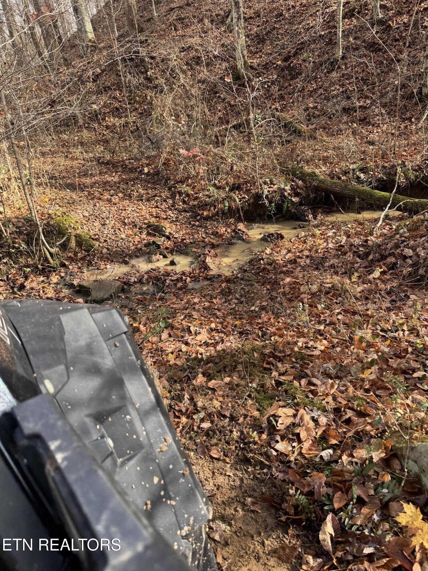 Mt Olive Rd Road Andersonville, TN 37705 - Photo 13 of 14 IMG_3051