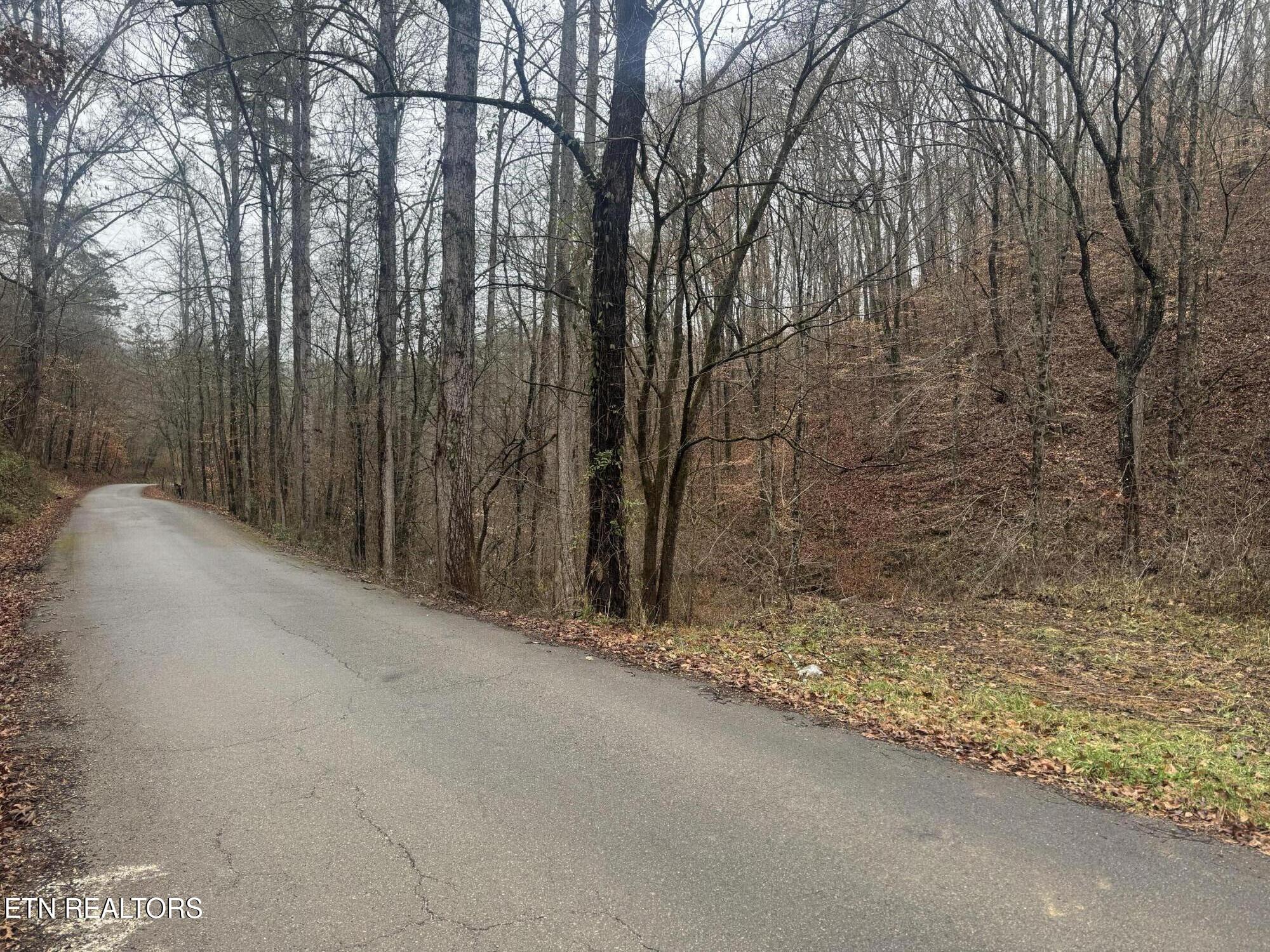 Mt Olive Rd Road Andersonville, TN 37705 - Photo 2 of 14 IMG_3691