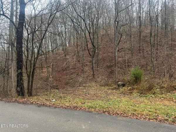 $80,000 | Mt Olive Rd Road, Andersonville, TN 37705