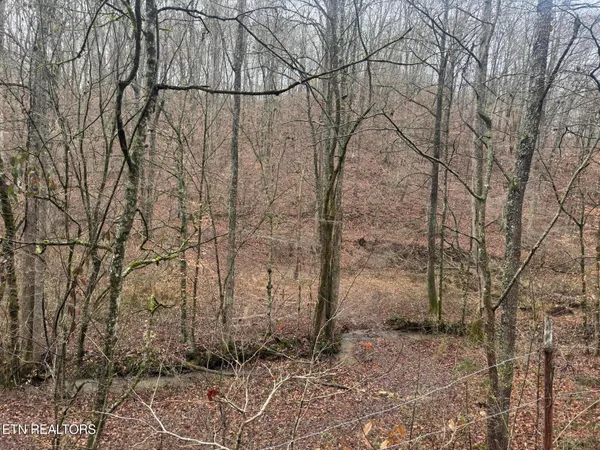 $80,000 | Mt Olive Rd Road, Andersonville, TN 37705