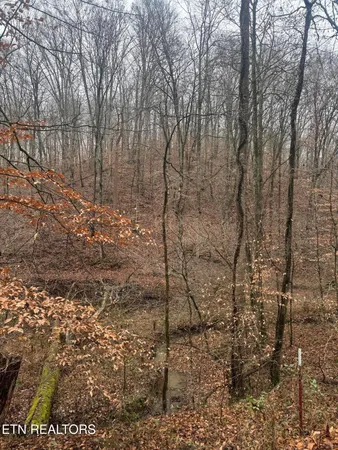 $80,000 | Mt Olive Rd Road, Andersonville, TN 37705