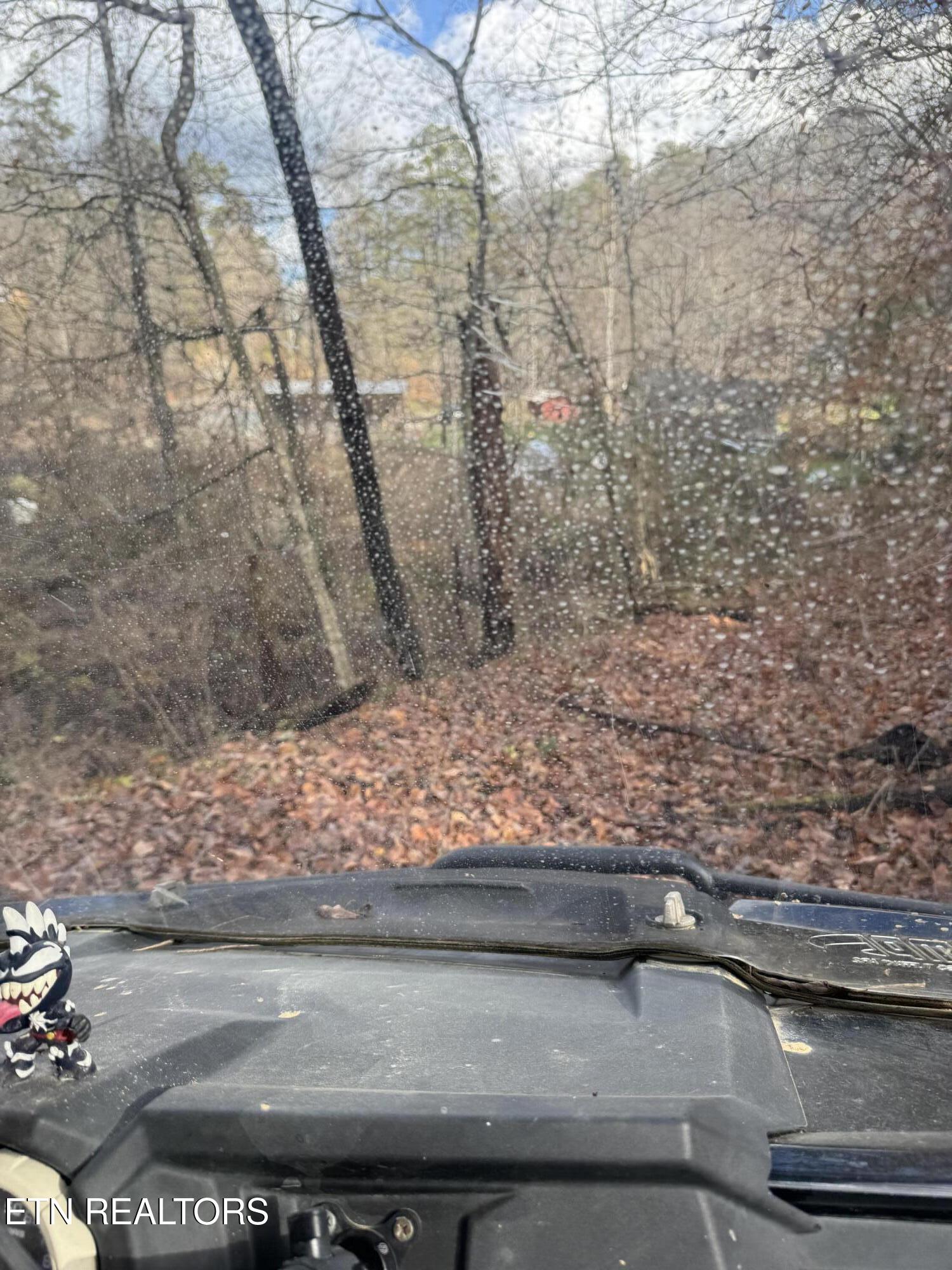 Mt Olive Rd Road Andersonville, TN 37705 - Photo 6 of 14 IMG_3052