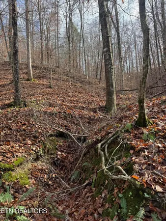 $80,000 | Mt Olive Rd Road, Andersonville, TN 37705