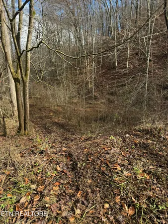 $80,000 | Mt Olive Rd Road, Andersonville, TN 37705