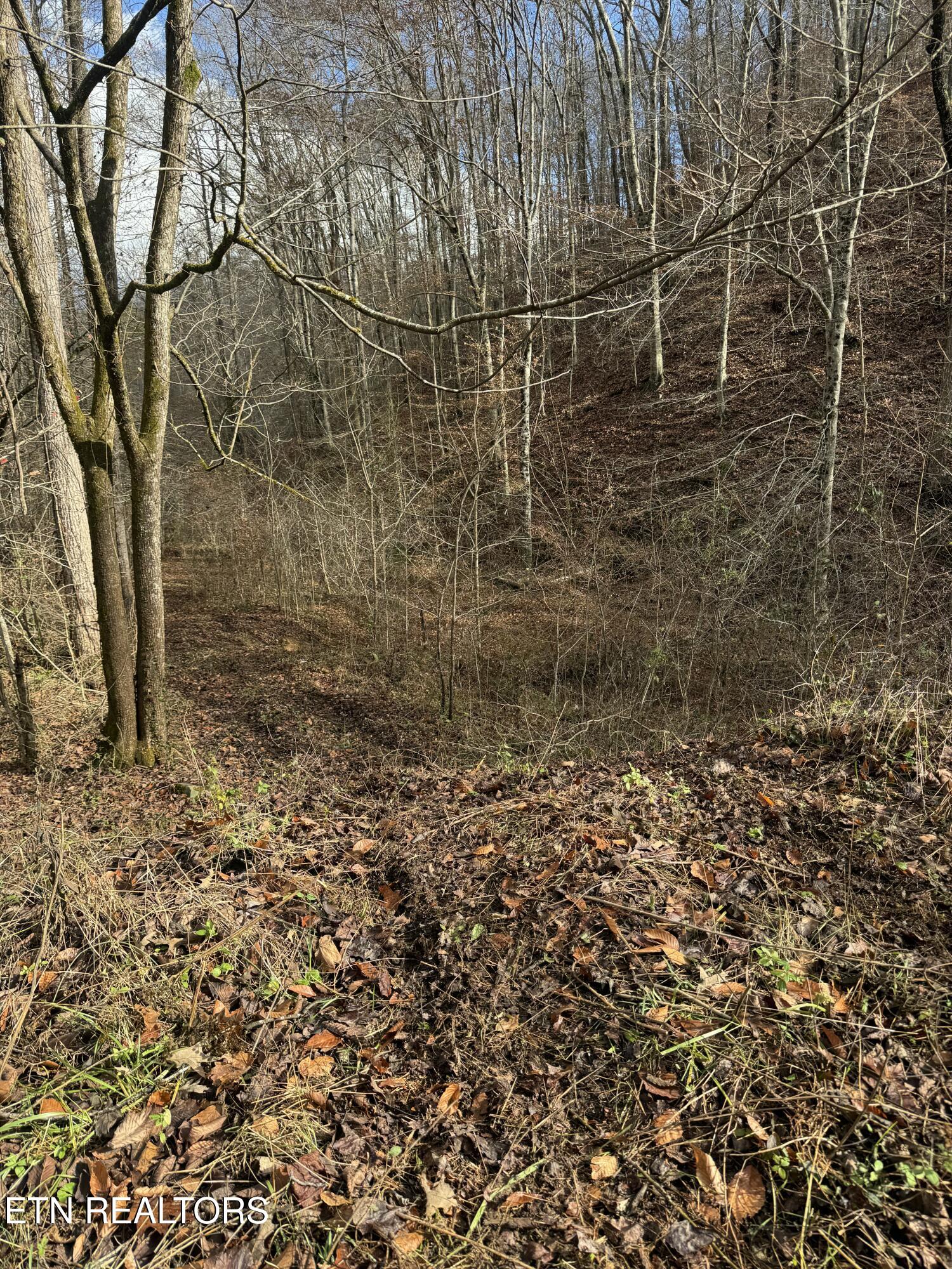 Mt Olive Rd Road Andersonville, TN 37705 - Photo 8 of 14 IMG_3046