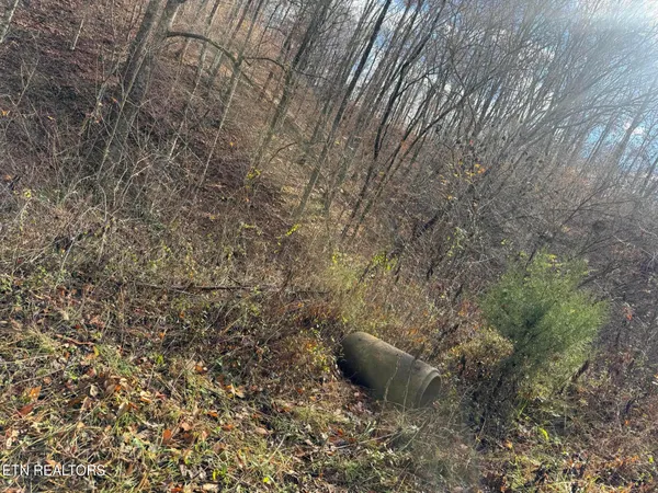 $80,000 | Mt Olive Rd Road, Andersonville, TN 37705