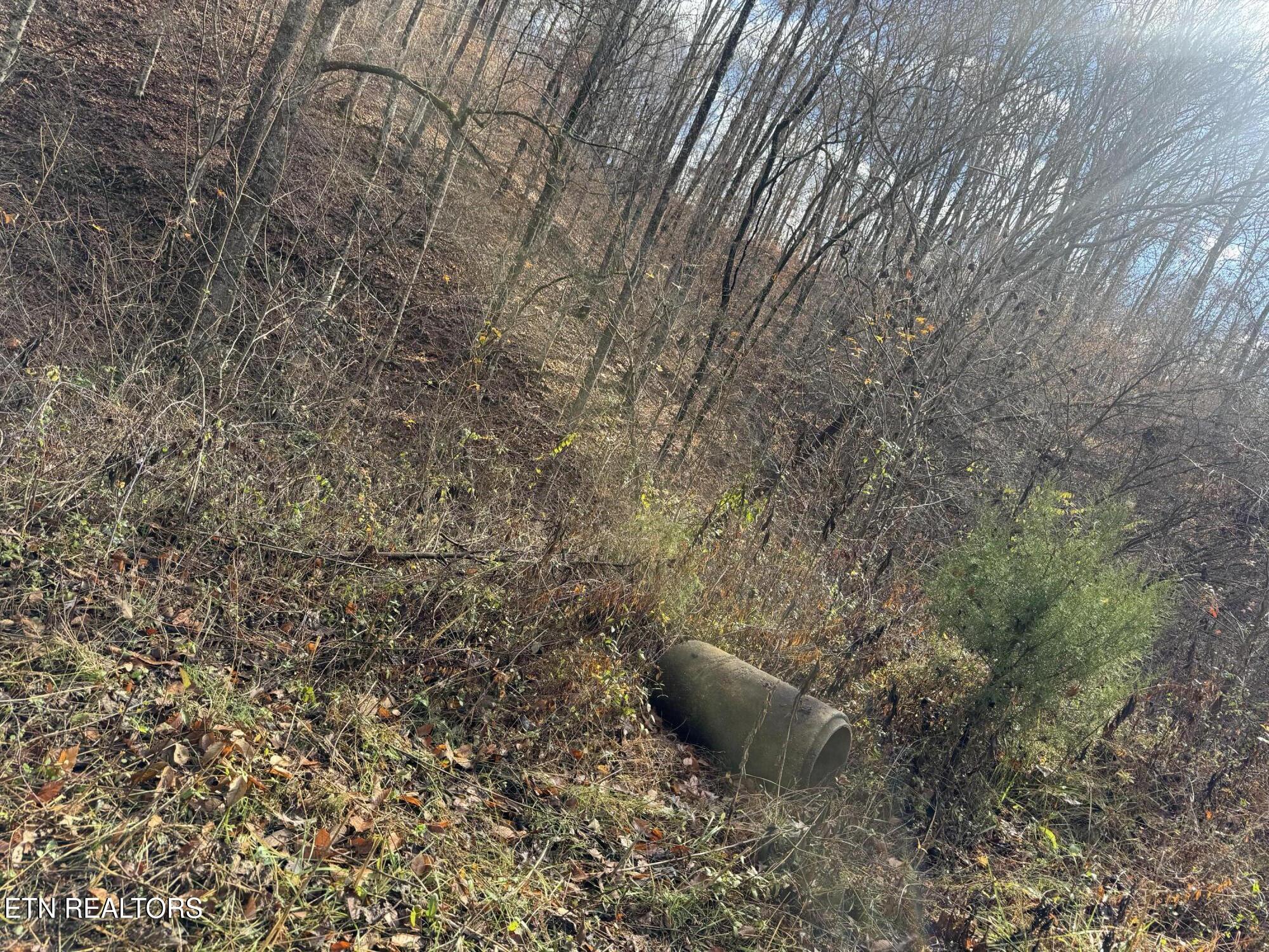 Mt Olive Rd Road Andersonville, TN 37705 - Photo 9 of 14 IMG_3047