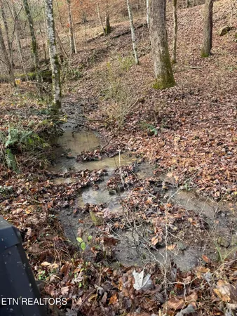 $80,000 | Mt Olive Rd Road, Andersonville, TN 37705