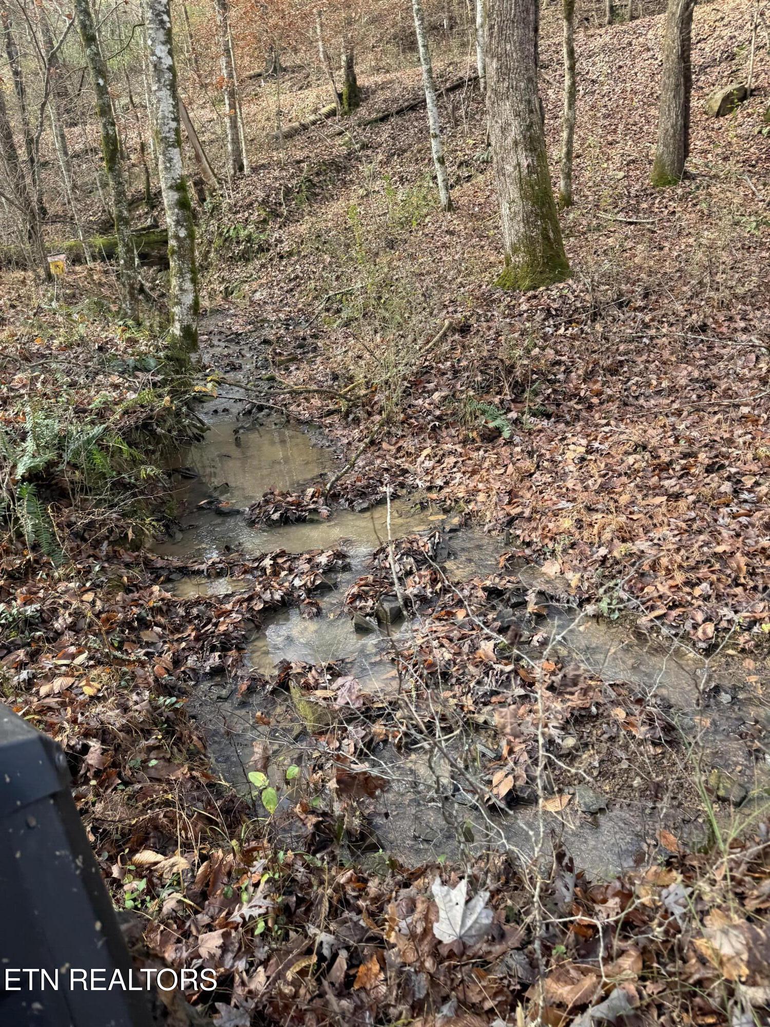 Mt Olive Rd Road Andersonville, TN 37705 - Photo 10 of 14 IMG_3053