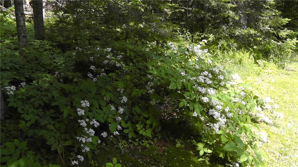 63 Harris Road Stockton Springs, ME 04981 - Photo 7 of 25 Photo