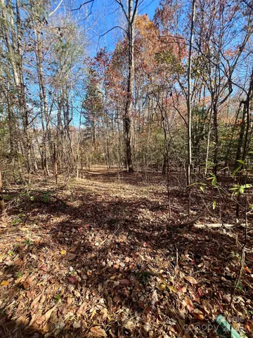 a view of outdoor space with deck and tree