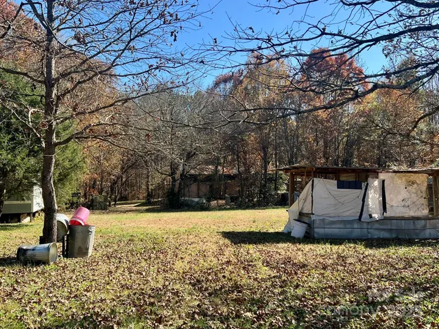 a view of a yard with a tree