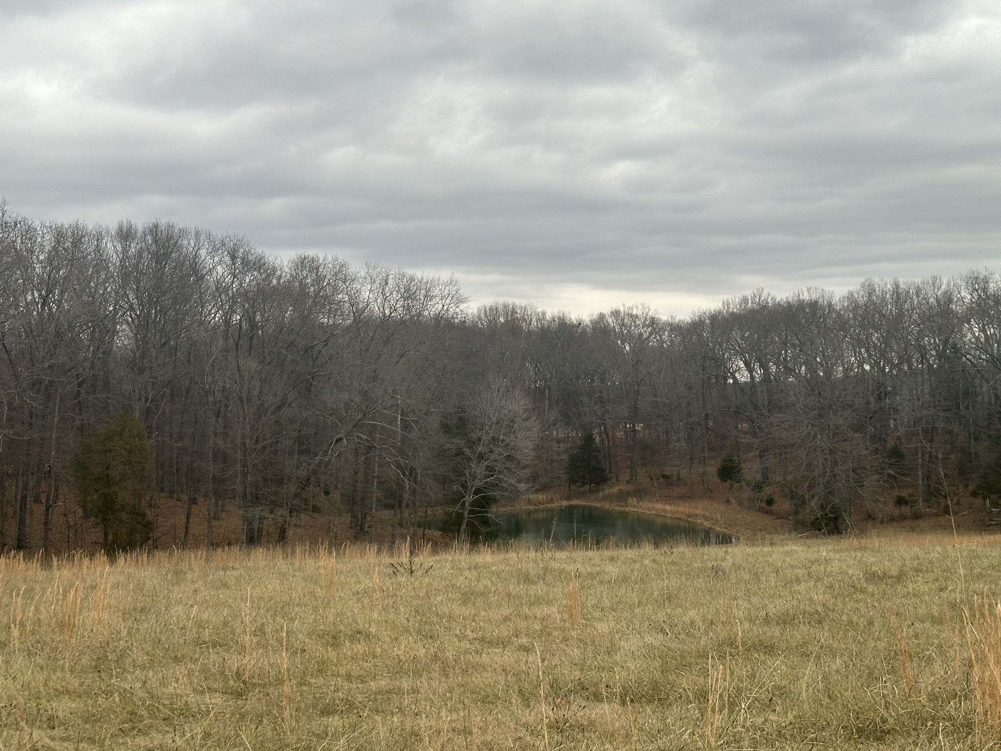 1 Myatt Loop Burns, TN 37029 - Photo 1 of 8