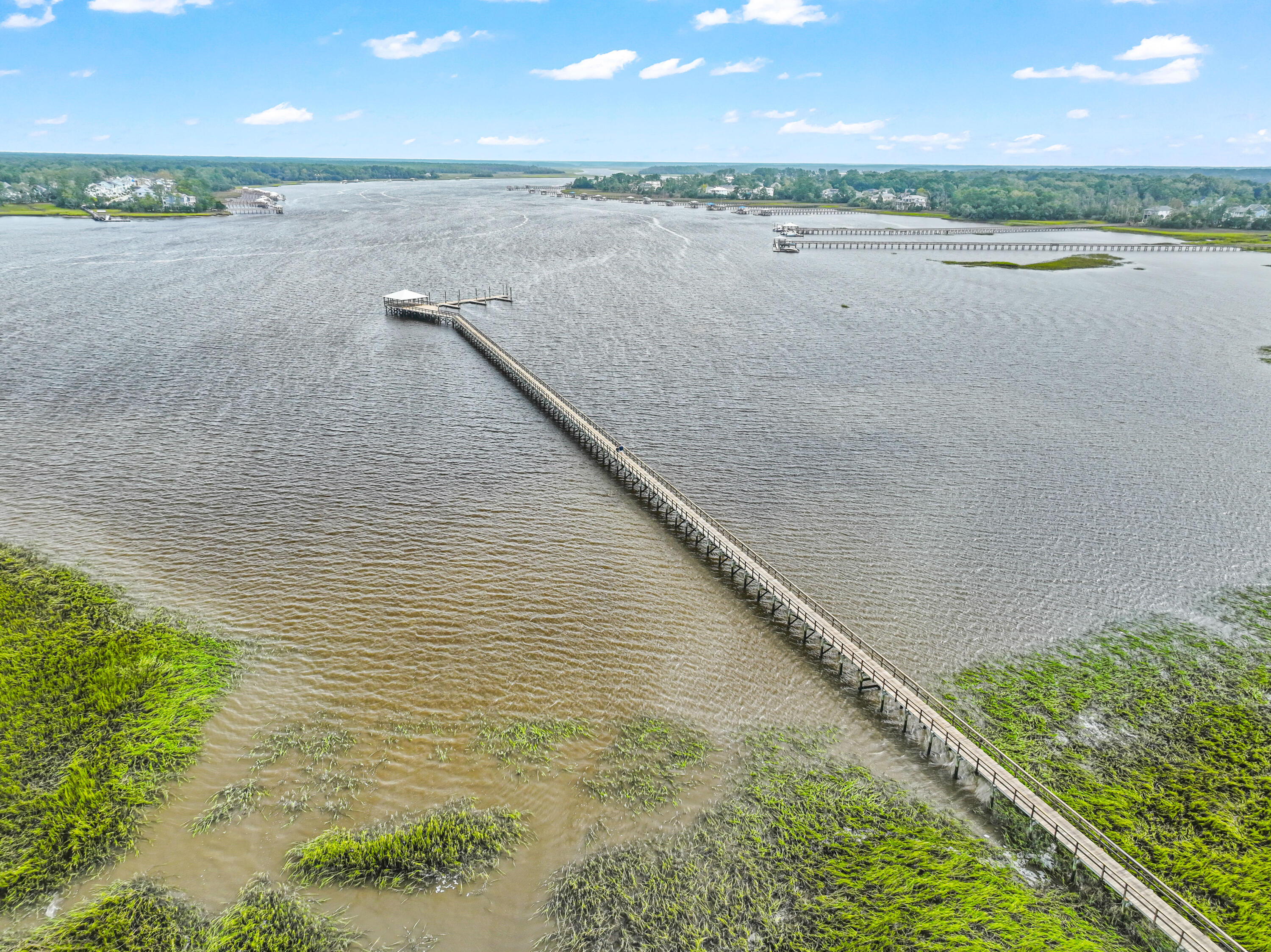 2061 Kings Gate Lane Mount Pleasant, SC 29466 - Photo 35 of 41 DJI_0364