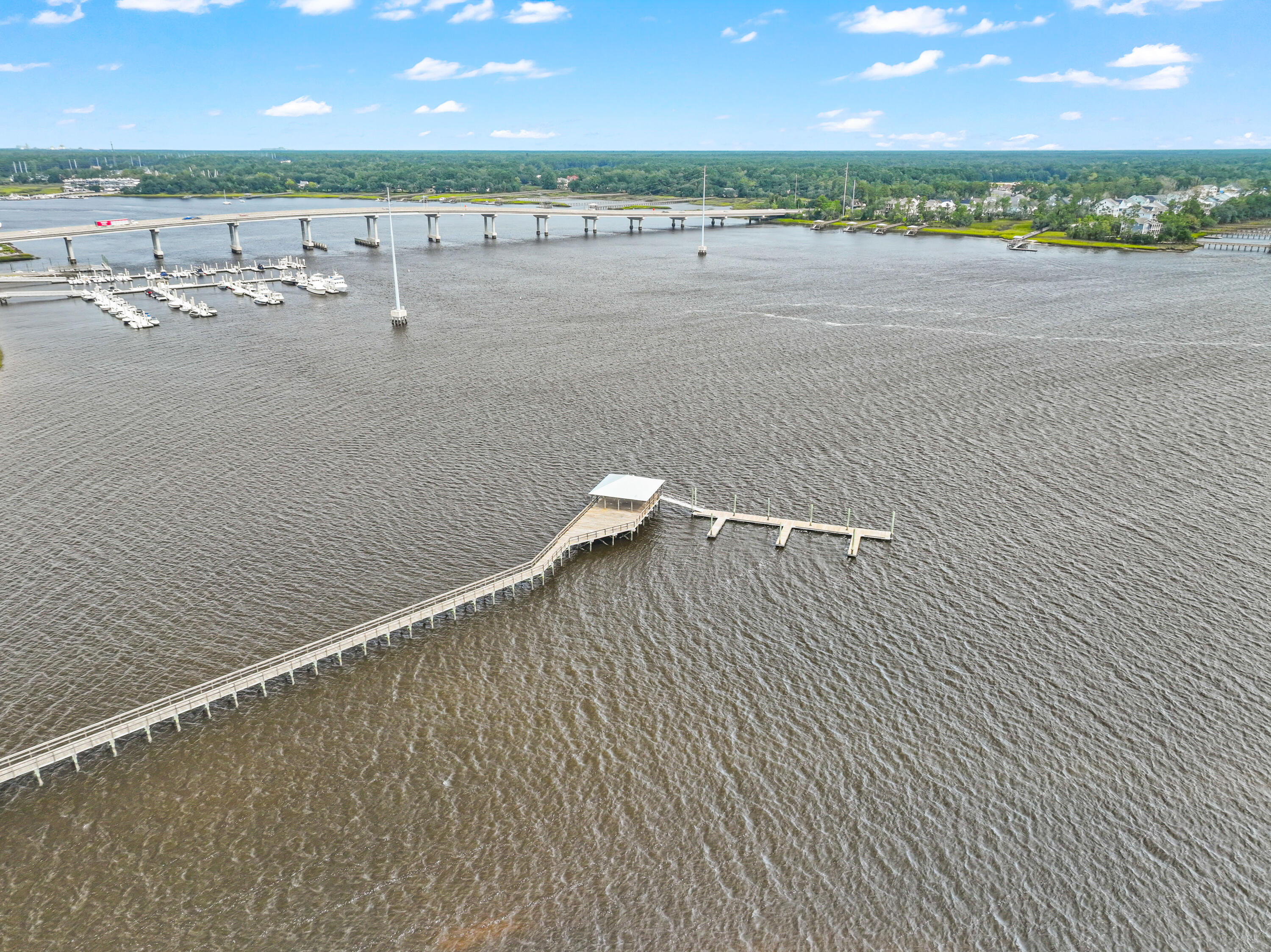 2061 Kings Gate Lane Mount Pleasant, SC 29466 - Photo 36 of 41 DJI_0367