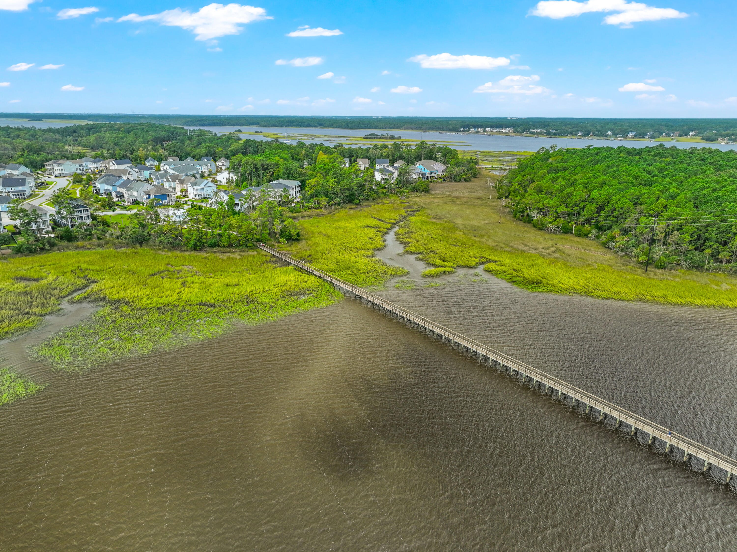 2061 Kings Gate Lane Mount Pleasant, SC 29466 - Photo 41 of 41 DJI_0370