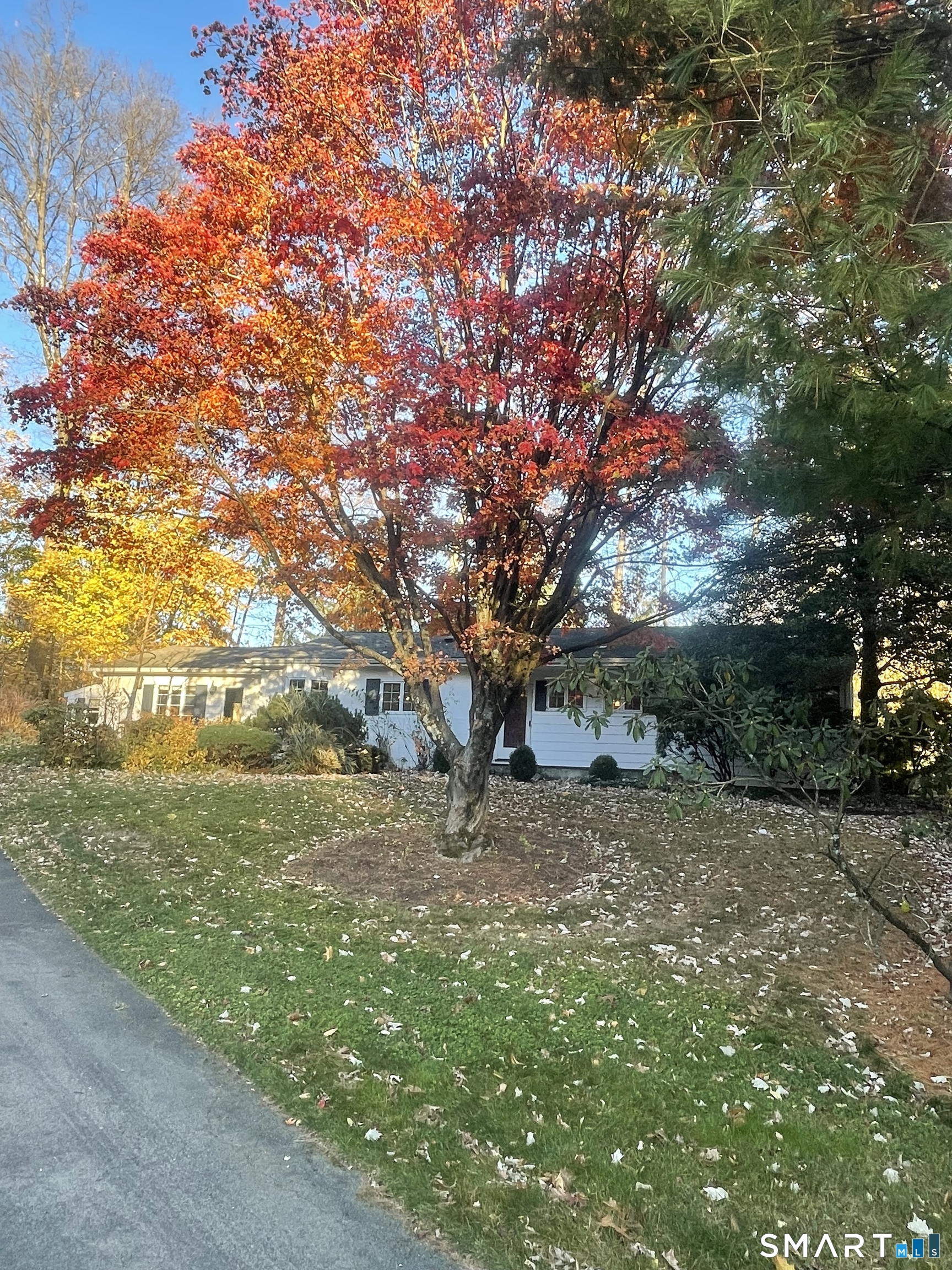 20 Arrowhead Road Wilton, CT 06897 - Photo 3 of 28 a pathway of a yard