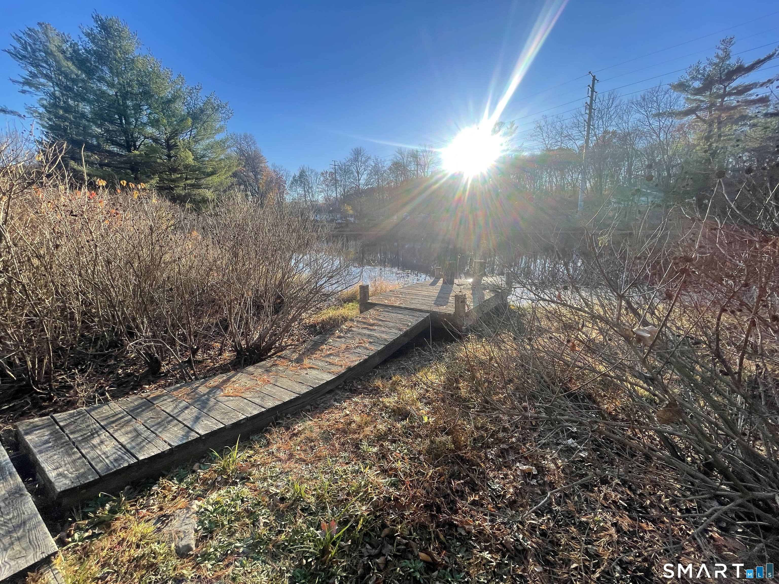 20 Arrowhead Road Wilton, CT 06897 - Photo 4 of 28 a view of a yard