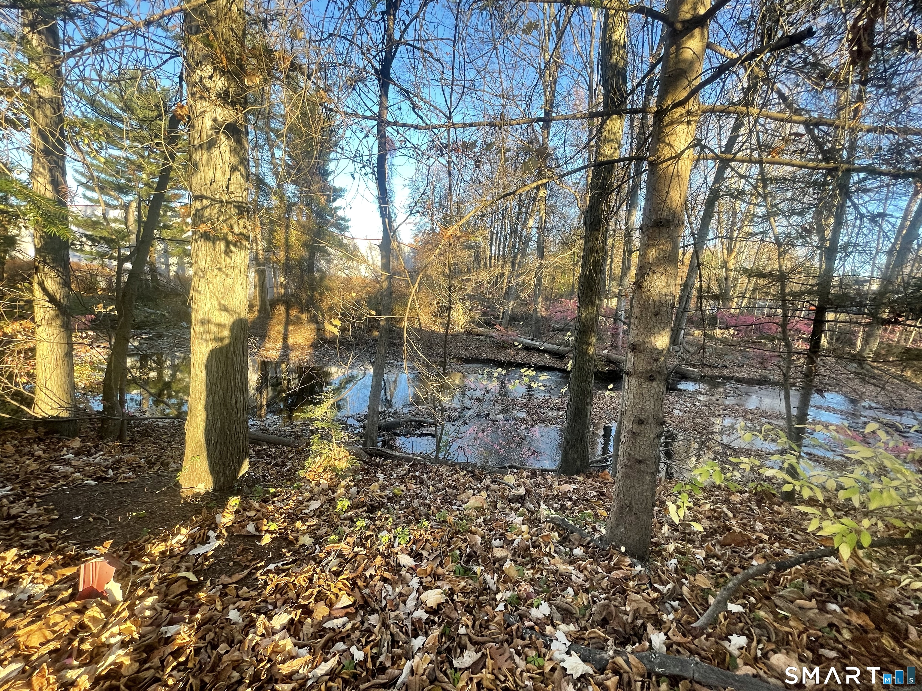 20 Arrowhead Road Wilton, CT 06897 - Photo 5 of 28 a backyard of a house with lots of green space