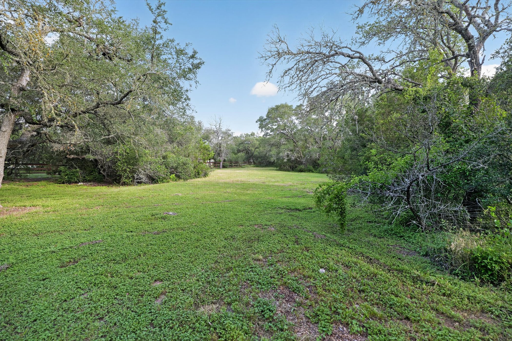 13615 Copperleaf Trail Manchaca, TX 78652 - Photo 36 of 38 A spacious, verdant expanse bordered by mature trees, offering a private setting.