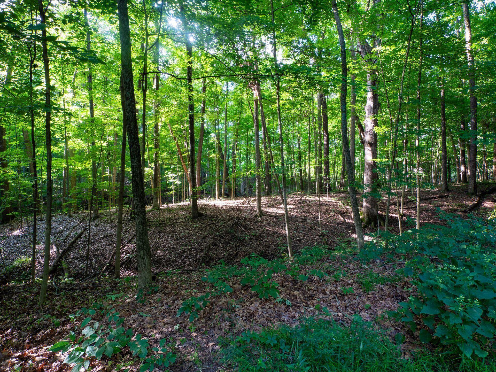 5590 Howard Road Delaware, OH 43015 - Photo 26 of 82 Howard Road