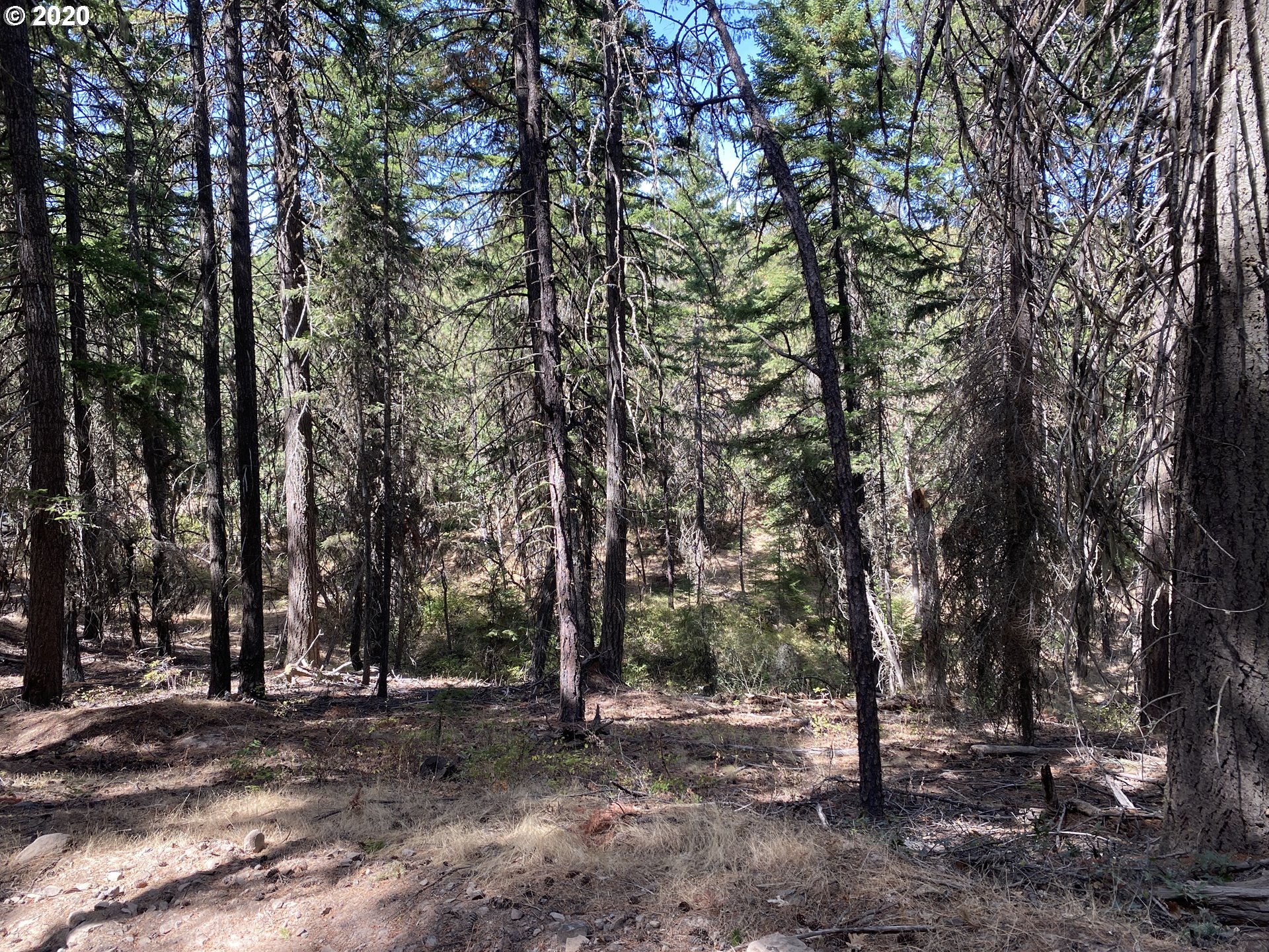 Ridge Top Road Dufur, OR 97021 - Photo 2 of 10 Gallery Image 2