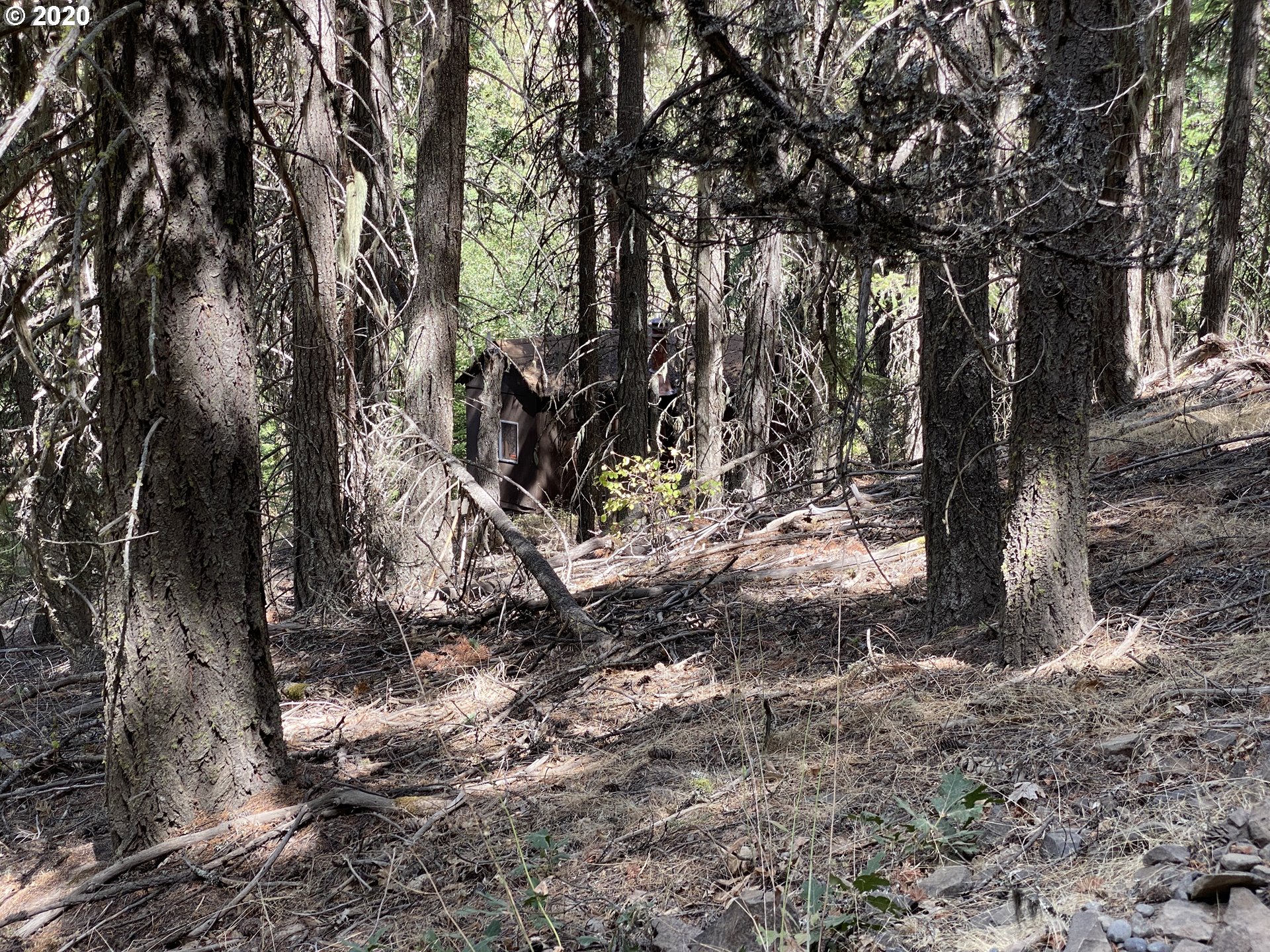 Ridge Top Road Dufur, OR 97021 - Photo 4 of 10 Gallery Image 4