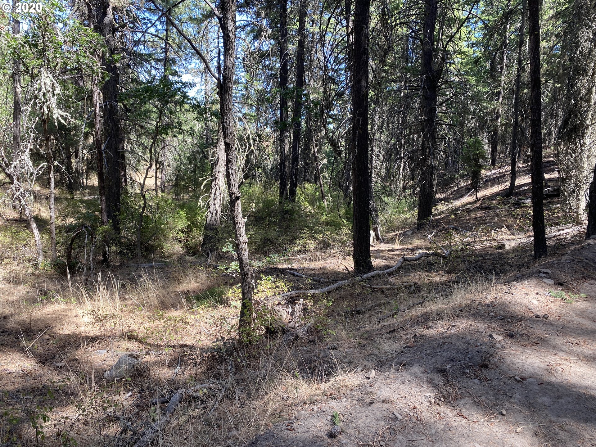 Ridge Top Road Dufur, OR 97021 - Photo 5 of 10 Gallery Image 5