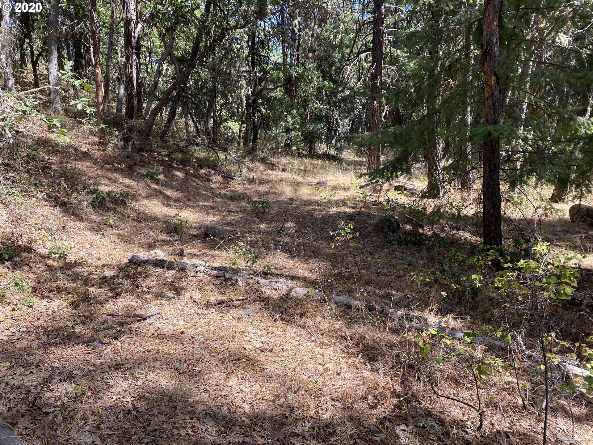 Ridge Top Road Dufur, OR 97021 - Photo 7 of 10 Gallery Image 7