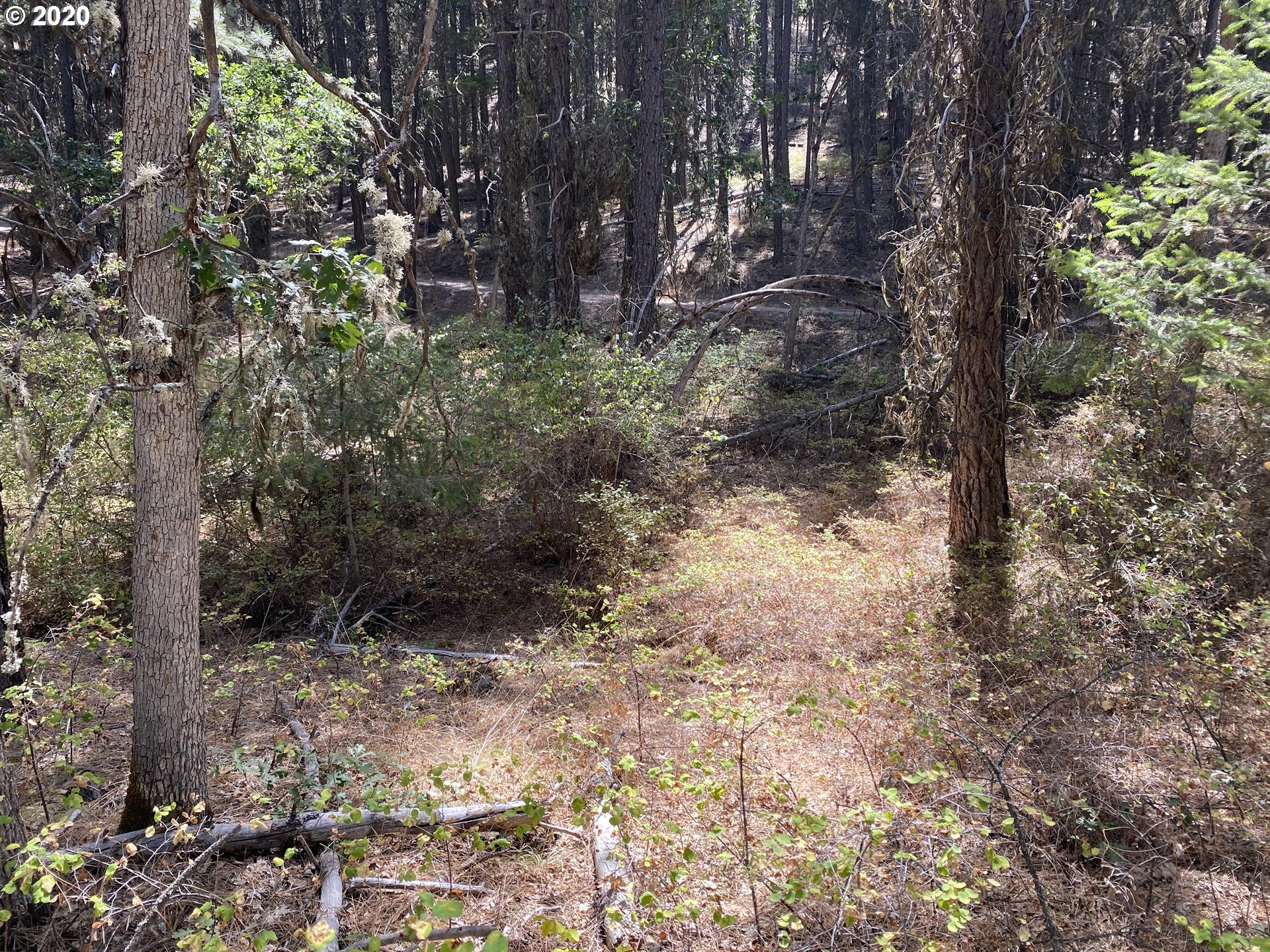 Ridge Top Road Dufur, OR 97021 - Photo 8 of 10 Gallery Image 8
