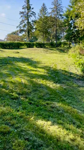 a view of a yard with a house
