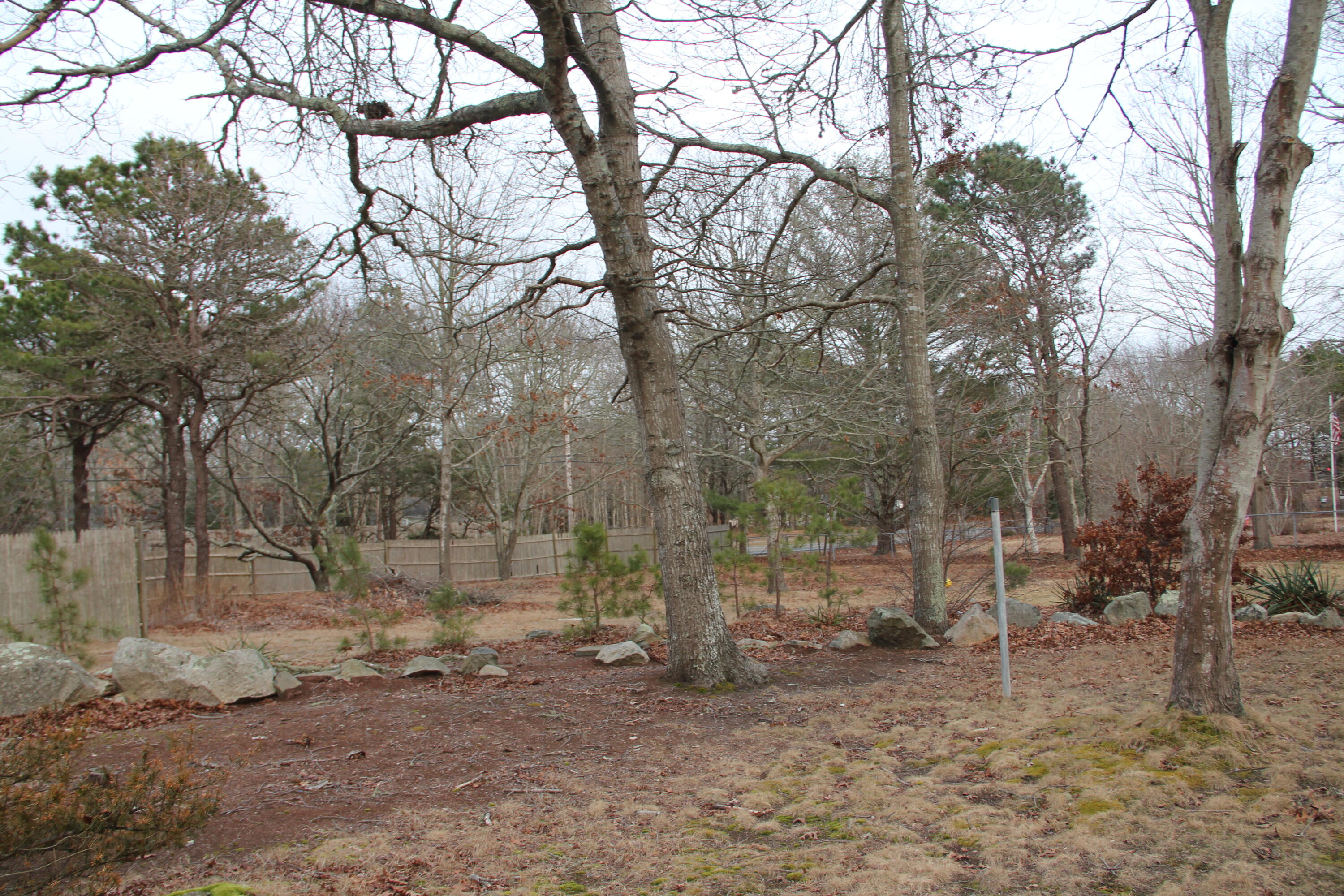 14 Clear Brook Road West Yarmouth, MA 02673 - Photo 28 of 29 IMG_1524
