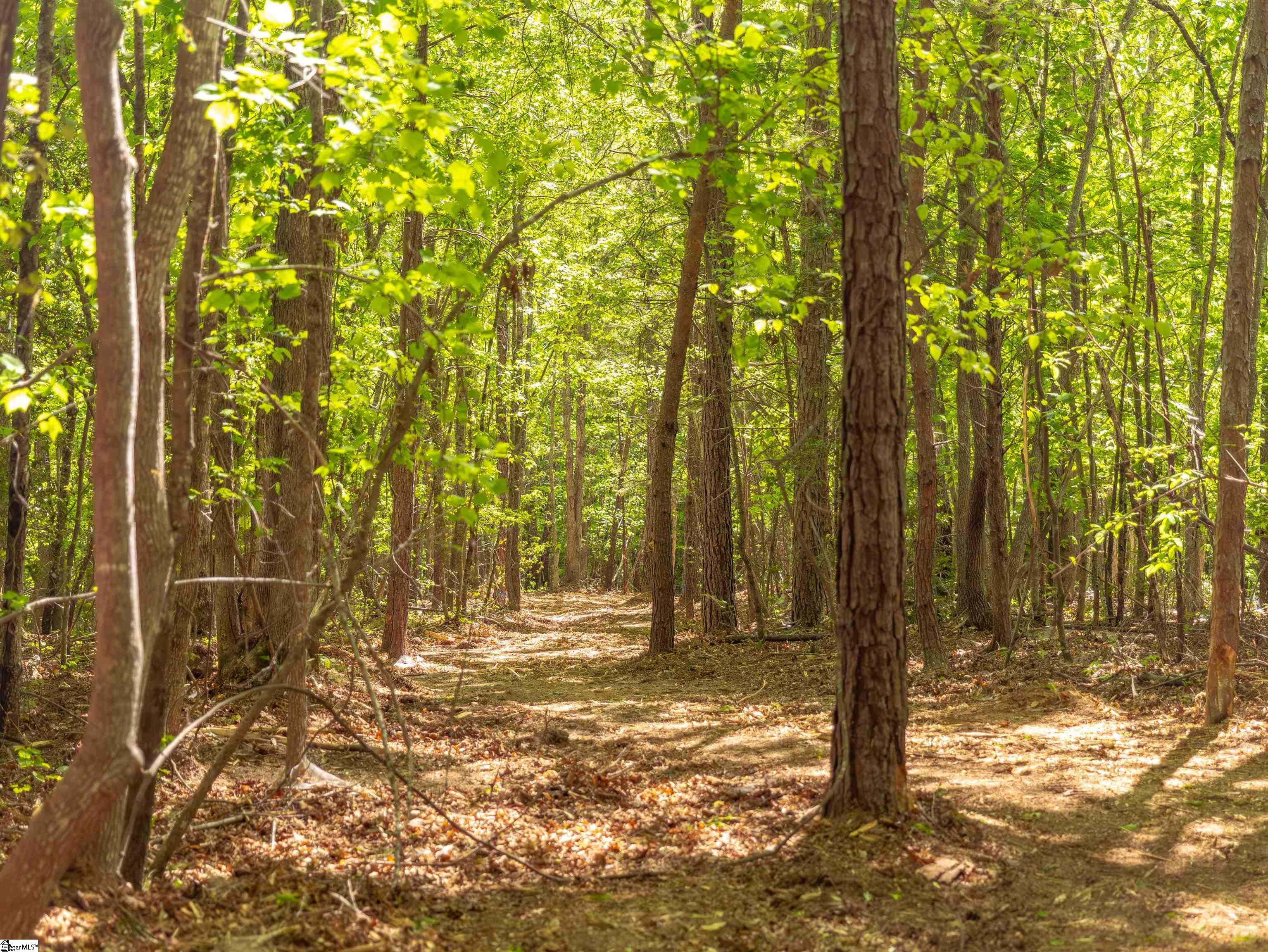 0 Princeton Highway Honea Path, SC 29654 - Photo 11 of 30