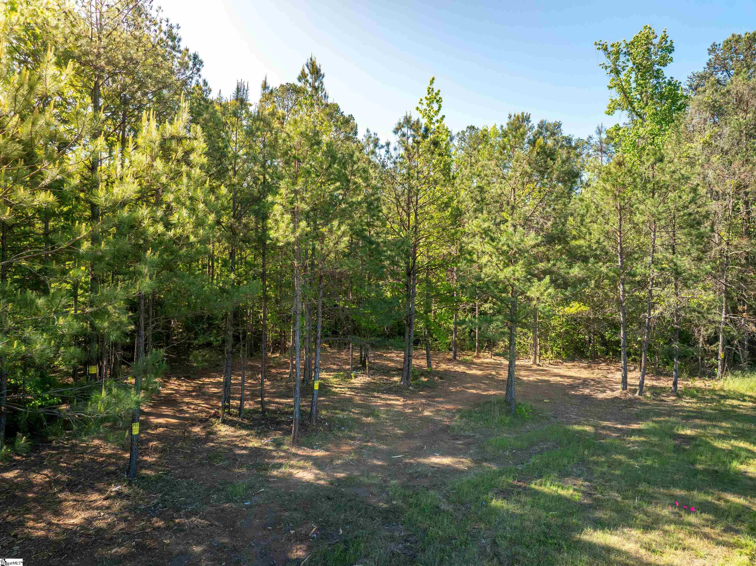 0 Princeton Highway Honea Path, SC 29654 - Photo 14 of 30