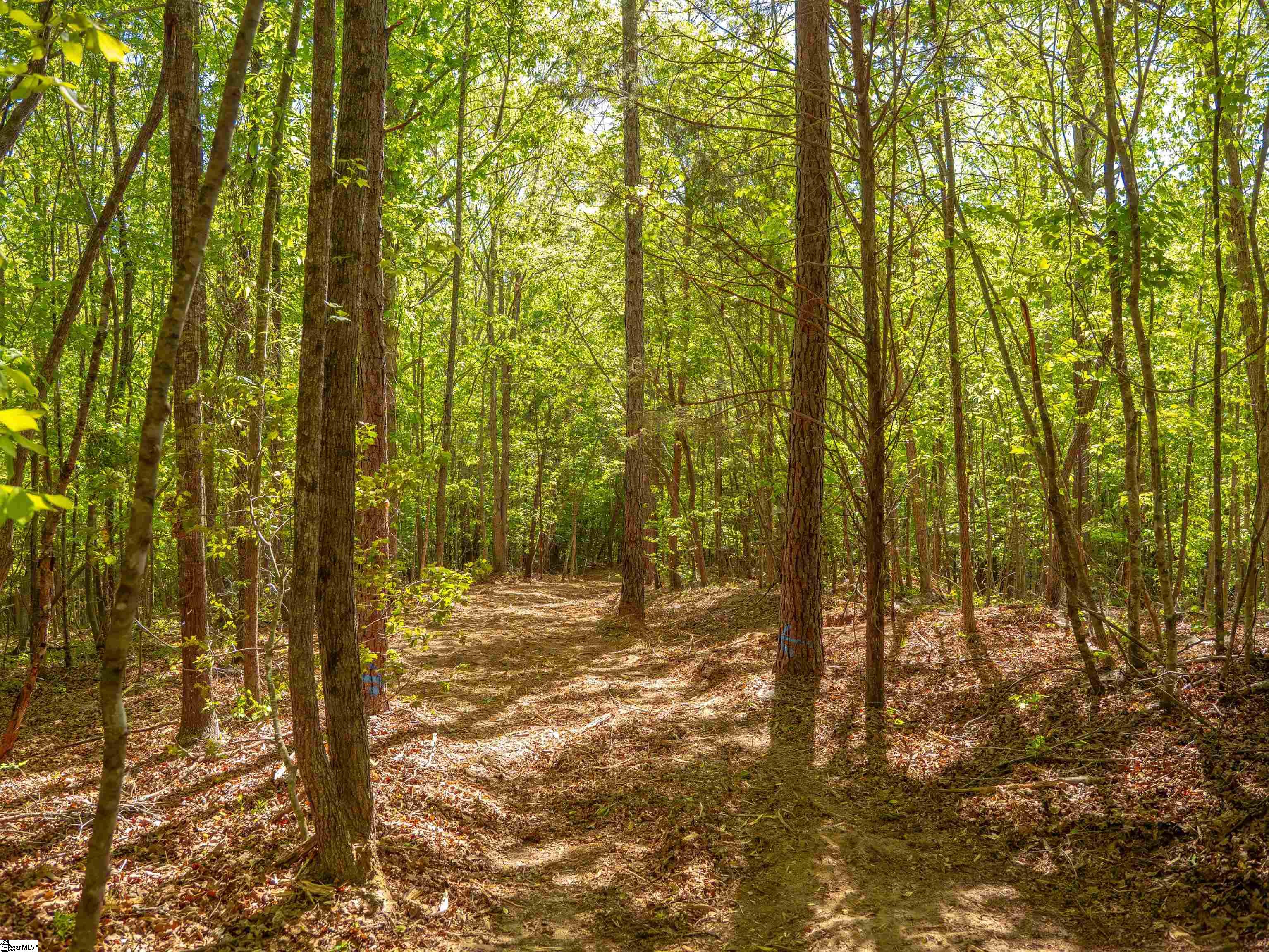 0 Princeton Highway Honea Path, SC 29654 - Photo 17 of 30