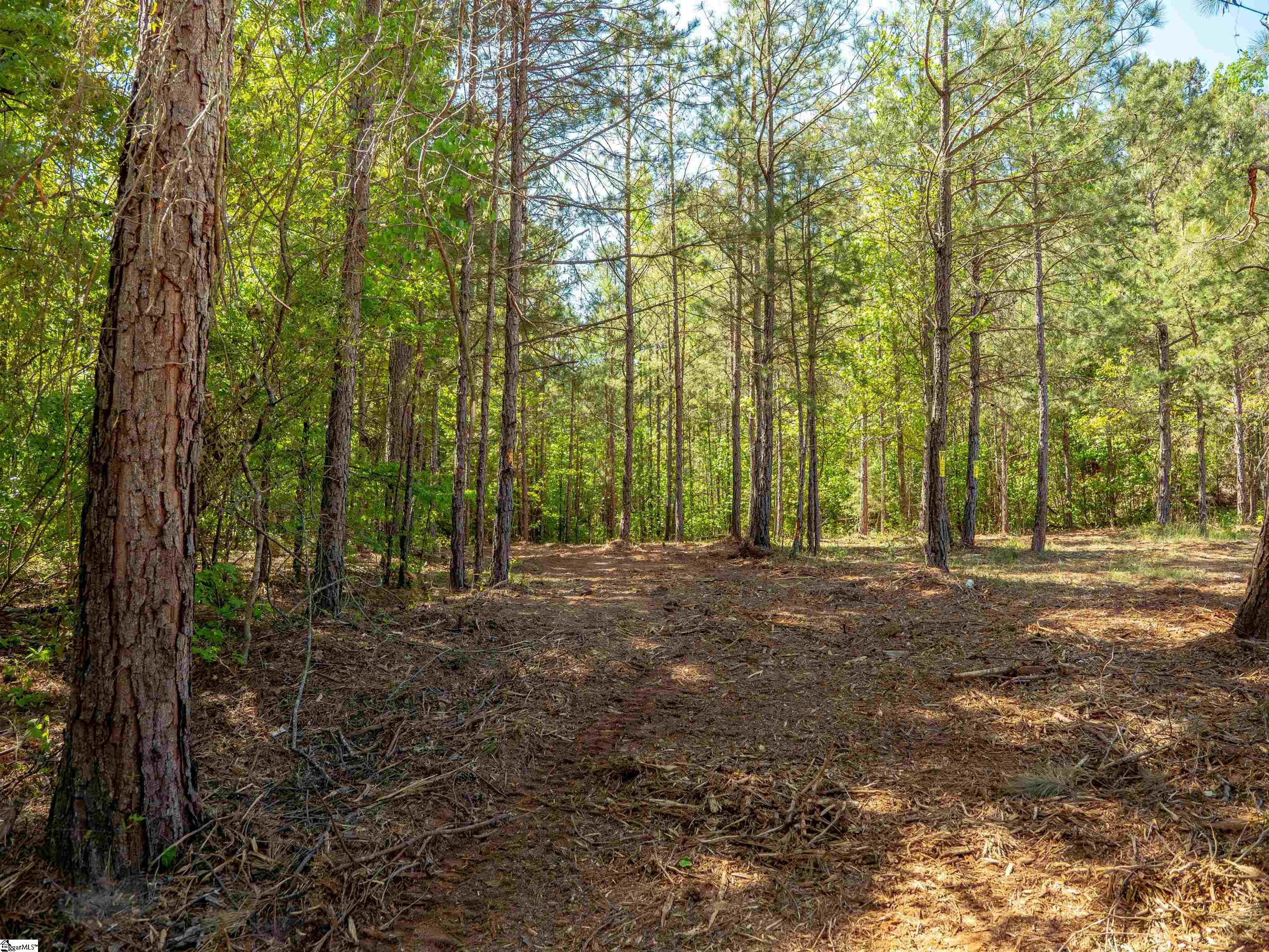 0 Princeton Highway Honea Path, SC 29654 - Photo 21 of 30