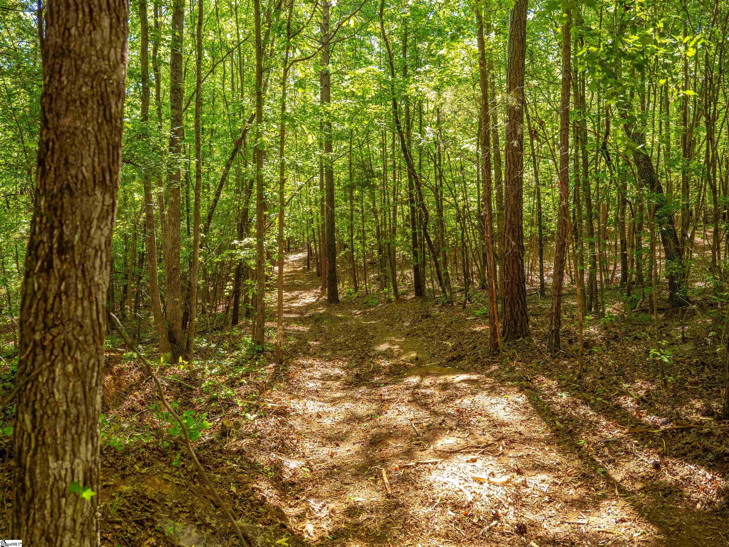 0 Princeton Highway Honea Path, SC 29654 - Photo 22 of 30