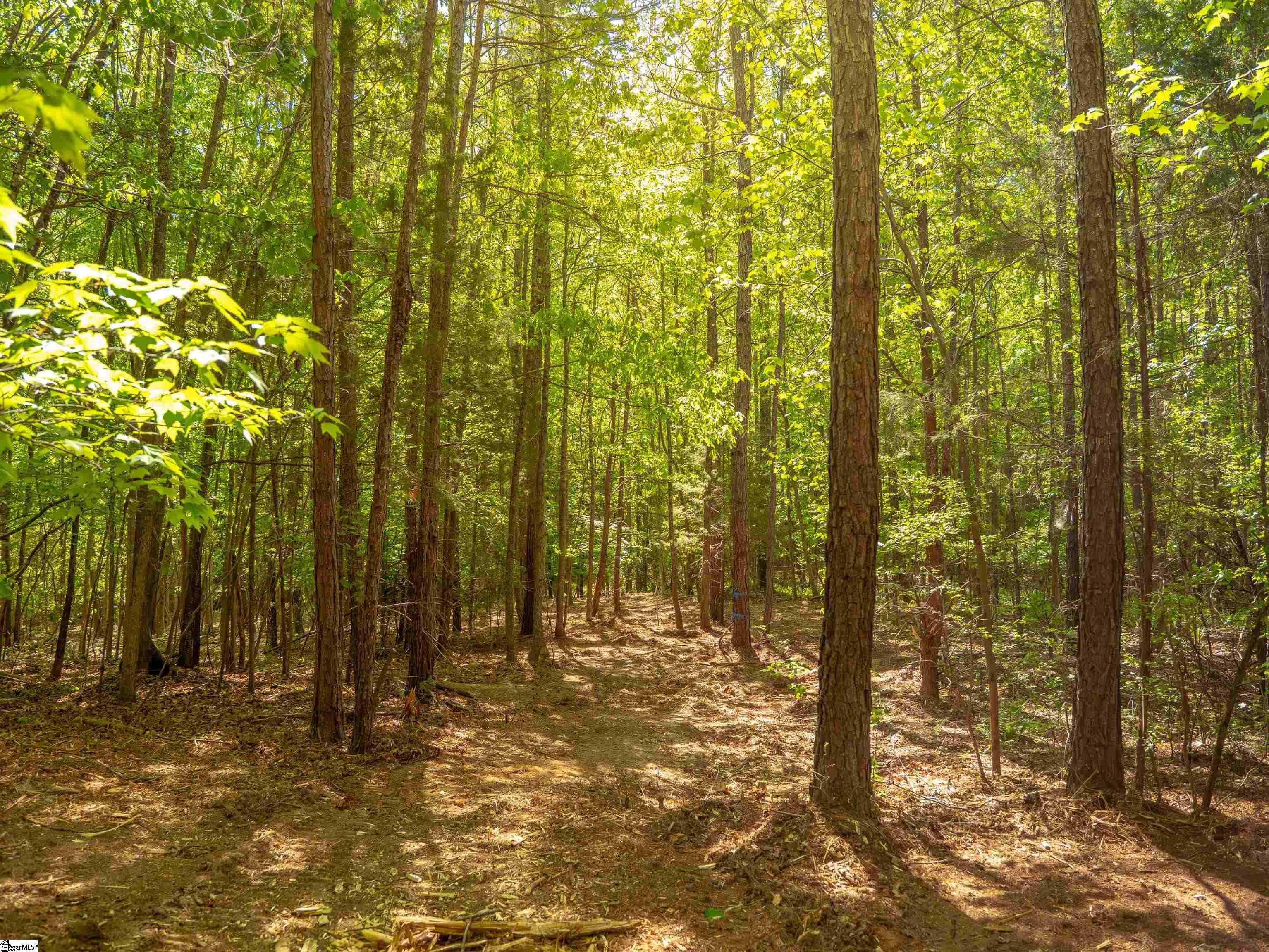 0 Princeton Highway Honea Path, SC 29654 - Photo 24 of 30