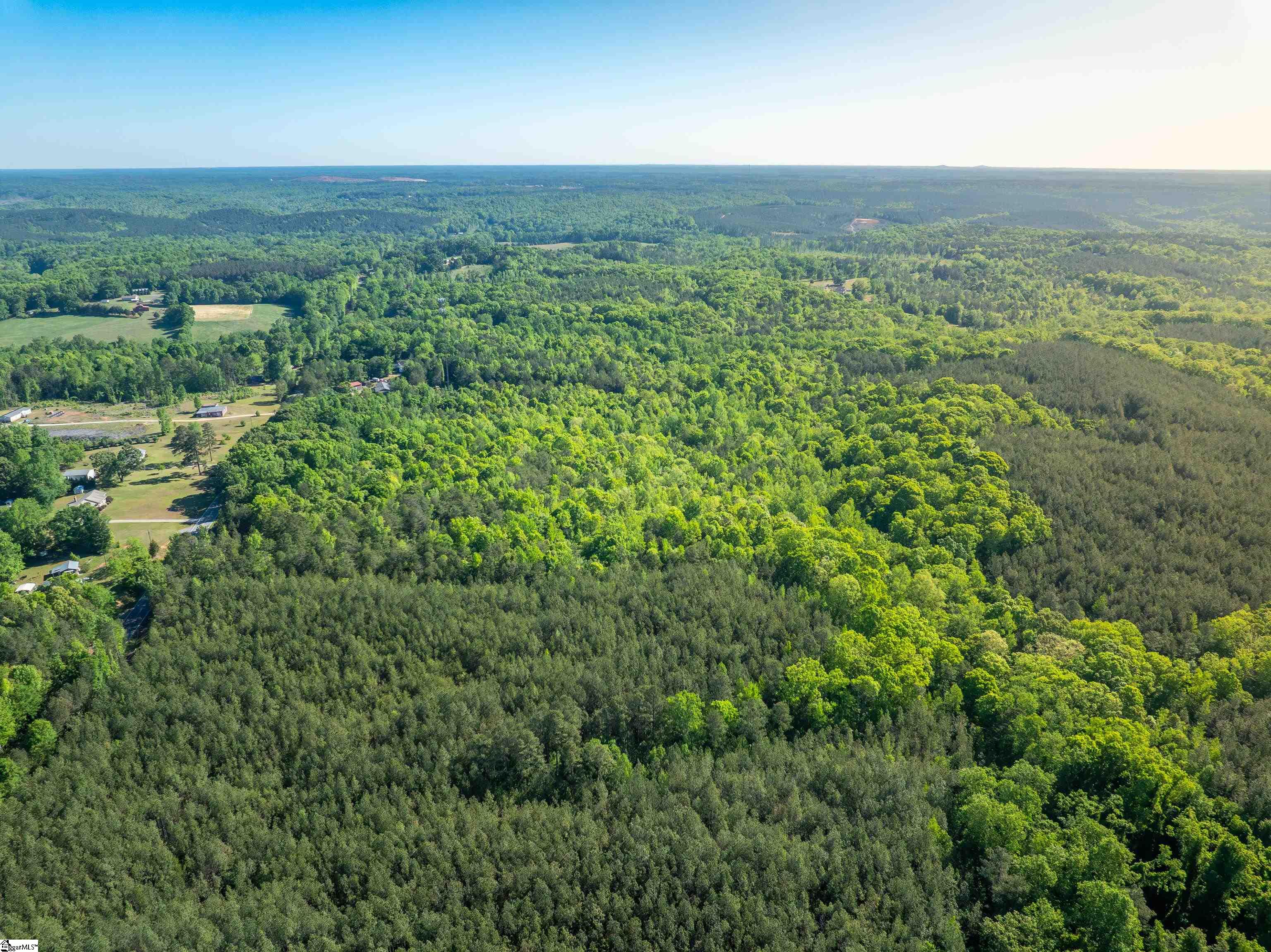 0 Princeton Highway Honea Path, SC 29654 - Photo 25 of 30