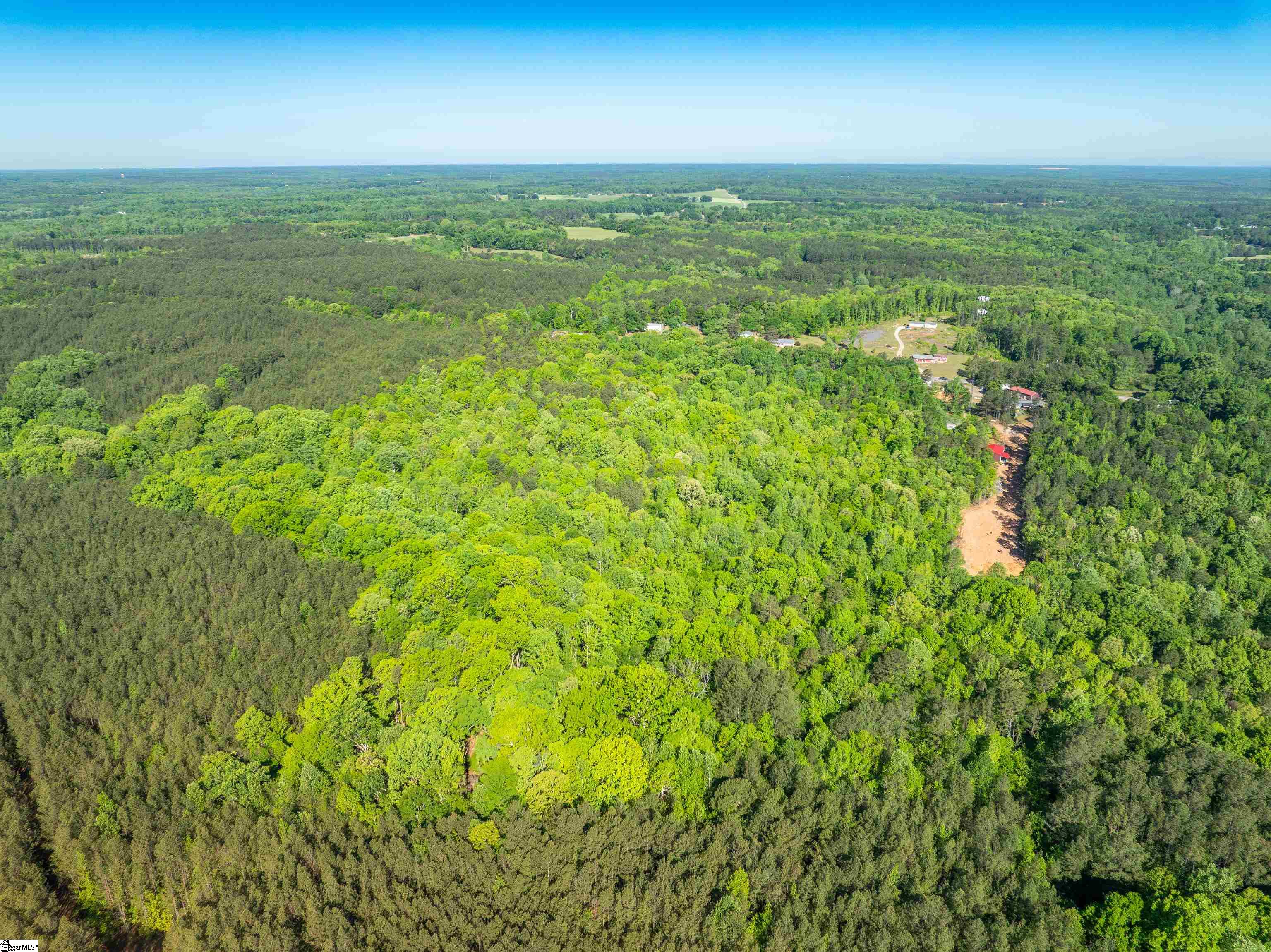 0 Princeton Highway Honea Path, SC 29654 - Photo 29 of 30